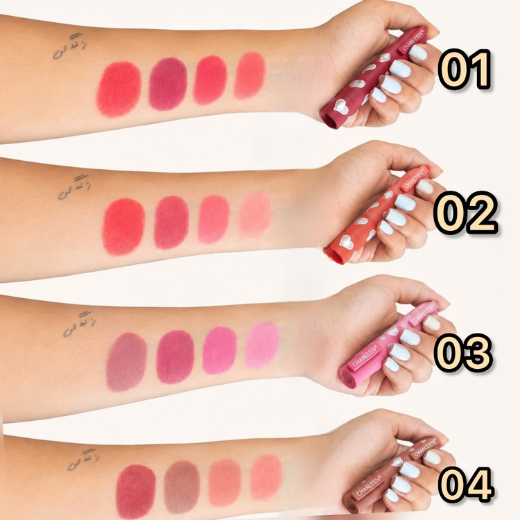 رژ لب ۴ رنگ چانلیوی مدل Matte Lipstick 4 in 1